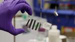 New electrodes could increase efficiency of electric vehicles and aircraft