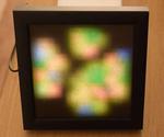 The Beauty of Math - Conway’s Game of Life Art