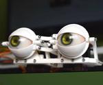 DIY Compact 3D Printed Animatronic Eye Mechanism