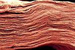 Big Plans to Save the Planet Depend on Nanoscopic Materials Improving Energy Storage