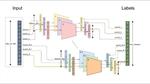 Rice, Amazon report breakthrough in ‘distributed deep learning’