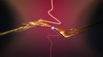 Electronics at the speed of light