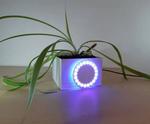 Connected Flowerpot by Micro:bit