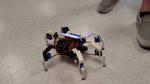 Hexapod Robot
