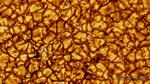 Never-before-seen images of Sun released from world’s largest solar telescope