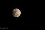 Penumbral Lunar Eclipse Occurs Friday: Here’s What to Expect
