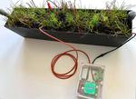 First plant-powered IoT sensor sends signal to space