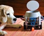 Arduino and Raspberry Pi Powered Pet Monitoring System