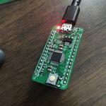 SAMD21G18A Development Board