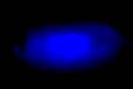 Blue diode illustrates limitations, promise of perovskite semiconductors