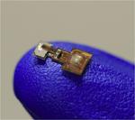 Magnet-controlled bioelectronic implant could relieve pain