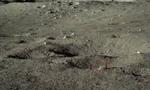 What’s up with that rock? China’s moon rover finds something strange on the far side