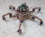 The Hexapod Robot (Spider Robot With Six Legs) Made From Wood