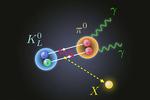 FSU researchers propose new physics to explain decay of subatomic particle