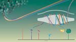 Technology provides a new way to probe single molecules