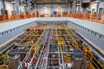 They are there and they are gone: ICARUS chases a fourth neutrino