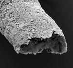 Biomaterial discovery enables 3D printing of tissue-like vascular structures