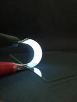 Fish scales could make wearable electronics more sustainable