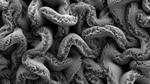 Stretchable Supercapacitors to Power Tomorrow’s Wearable Devices