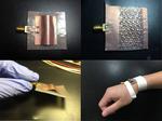 Wearable biosensors may pave the way for personalized health and wellness