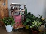 The Irrigator: AI-powered irrigation robot