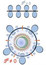 Double-walled nanotubes have electro-optical advantages