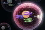 Turning cells into computers with protein logic gates
