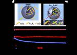 Scientists Develop High-performance Lithium-sulfur Batteries