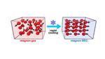 Cool down fast to advance quantum nanotechnology