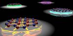 Stretchable sheets of atoms tuned for quantum technologies