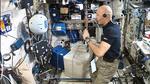 CIMON-2 Masters Its Debut on the International Space Station