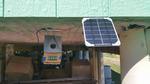 Birdhouse with Solar-Powered Weather Station