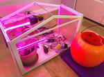 Self Sufficient Automated Greenhouse