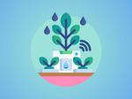 Advanced Irrigation System