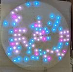 8-bit ATtiny85 Circle Of Life
