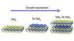 A new library of atomically thin 2D materials