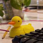 cyberDCK: a CircuitPython Anatidae