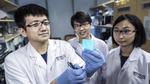 New electronic material for wearables and soft robots