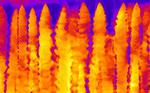 Crystalline ‘nanobrush’ clears way to advanced energy and information tech