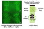 Lightning fast algorithms can lighten the load of 3D hologram generation