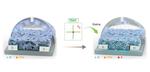 A salt solution toward better bioelectronics