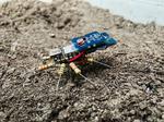 Runaway Spider