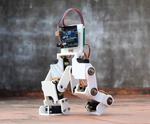 Arduino Controlled Robotic Biped
