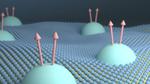 2D Semiconductors Found to Be Close-To-Ideal Fractional Quantum Hall Platform
