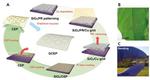 Enhancing the Performance of PSCs with ‘Graphene Armor’