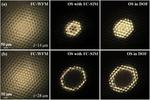 Researchers Directly Obtain 3D Full-color Images upon Conventional Microscope