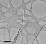 Liquid Metal Synthesis For Better Piezoelectrics: Atomically-thin Tin-monosulfide