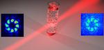 Quantum body scanner? What happens when vector vortex beams meet scattering media