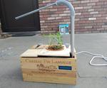 Plant’m