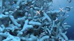 3D nanometer-thin membrane borrows from biology